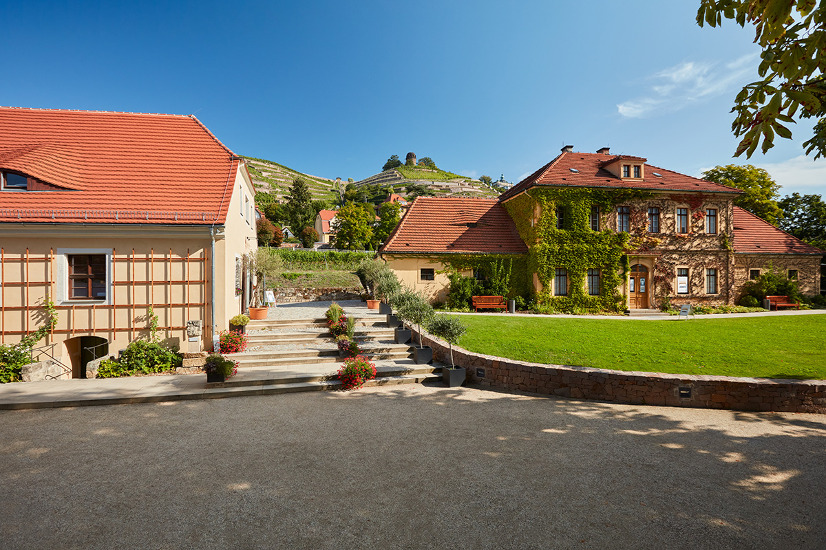 Hoflößnitz Aktuelles in der Hoflößnitz