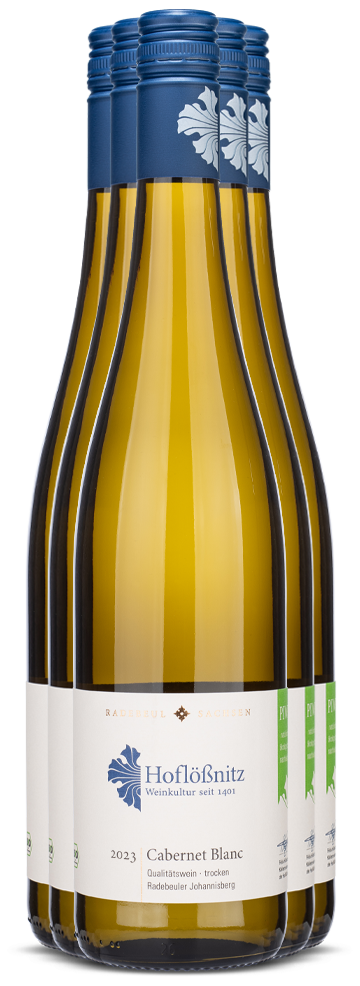 6er Cabernet Blanc 6er Cabernet Blanc