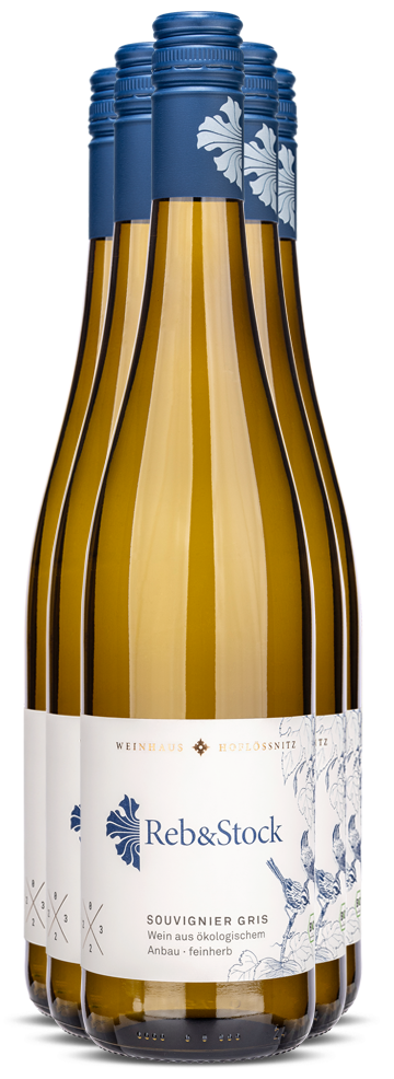 6er Reb&Stock · Souvignier Gris
