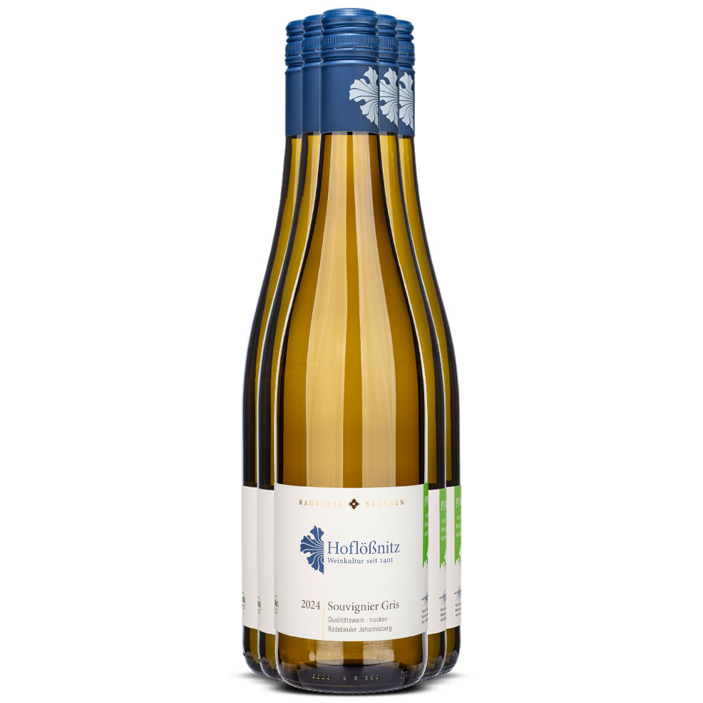 Souvignier Gris 5+1