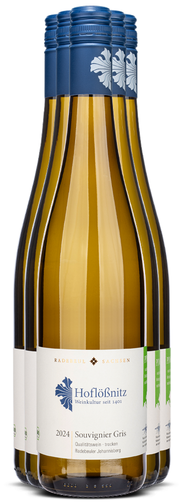 Souvignier Gris 5+1