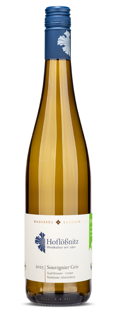 Souvignier Gris Souvignier Gris
